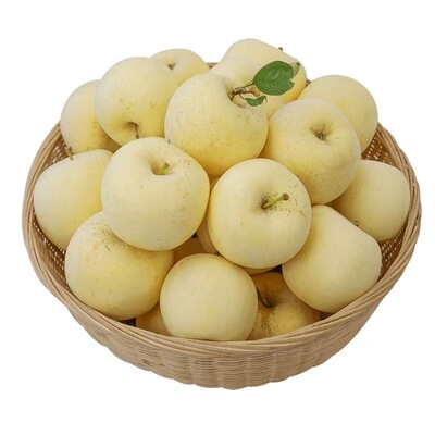 山东维纳斯黄金奶油应季