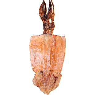 北海特大号鱿鱼干500g海鲜干货水发铁板尤鱼片微咸炒菜煲汤打火锅