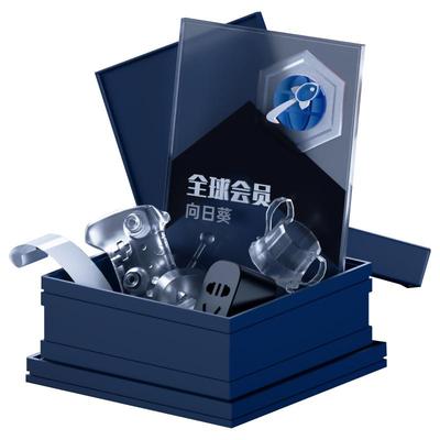 贝锐向日葵跨境远控会员全球加速