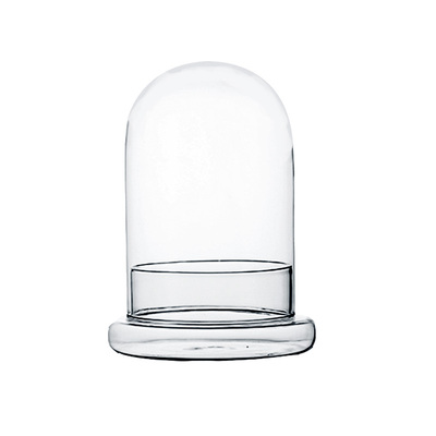 闷养分体瓶小温室玻璃罩