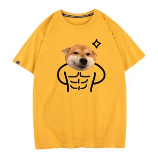 秀洛恶搞惊讶肚肚猫咪短袖腹肌柴犬狗T恤男女情侣装上衣夏宽松潮