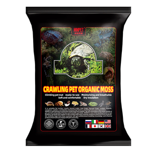 小乌龟冬眠专用缸特大号冬眠箱椰土沙盘吸水树脂苔藓砖泡沫箱的窝