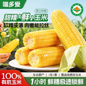 东北有机甜糯玉米嘴多爱低脂粗粮代餐早餐轻食营养饱腹健康零食