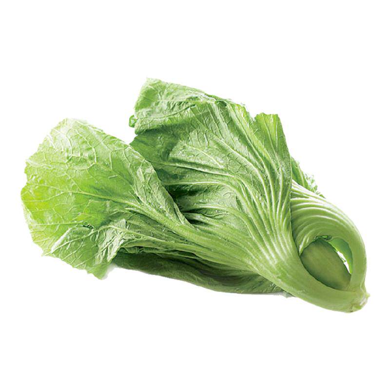 新鲜芥菜斤装蔬菜农家水东酸菜