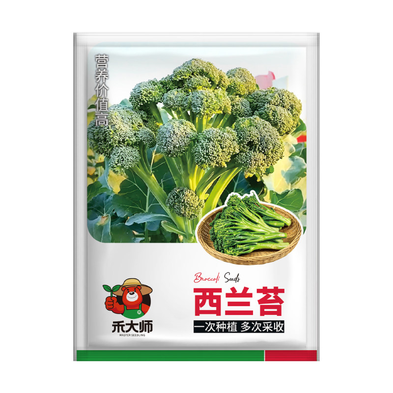 正品西兰苔种子多次采收口感脆嫩阳台庭院盆栽种植绿色蔬菜种籽