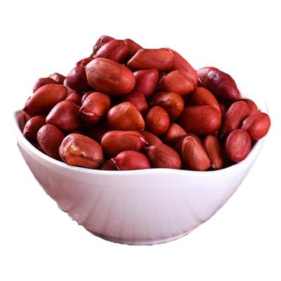 新四粒红花生米农家红皮新小粒