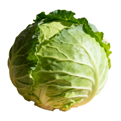 云南绿甘蓝新鲜蔬菜铁头包菜