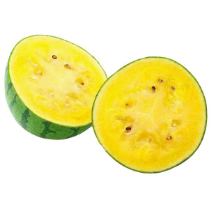 小西瓜种子种籽黄心黄瓤阳台四季盆栽吊瓜孑南方种植小型水果8424