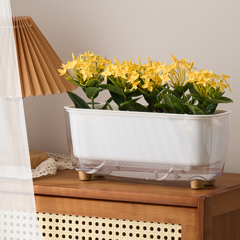 阳台懒人塑料自动吸水花盆长条家用绿箩萝专用种植长方形水培器皿