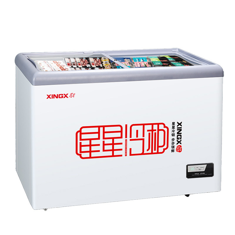 星星展示柜商用小型雪糕柜玻璃柜