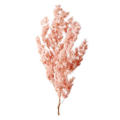 蓬莱松永生花网红干花家居摆设