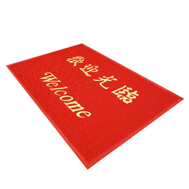 进门防滑家用丝圈蹭土地毯门垫