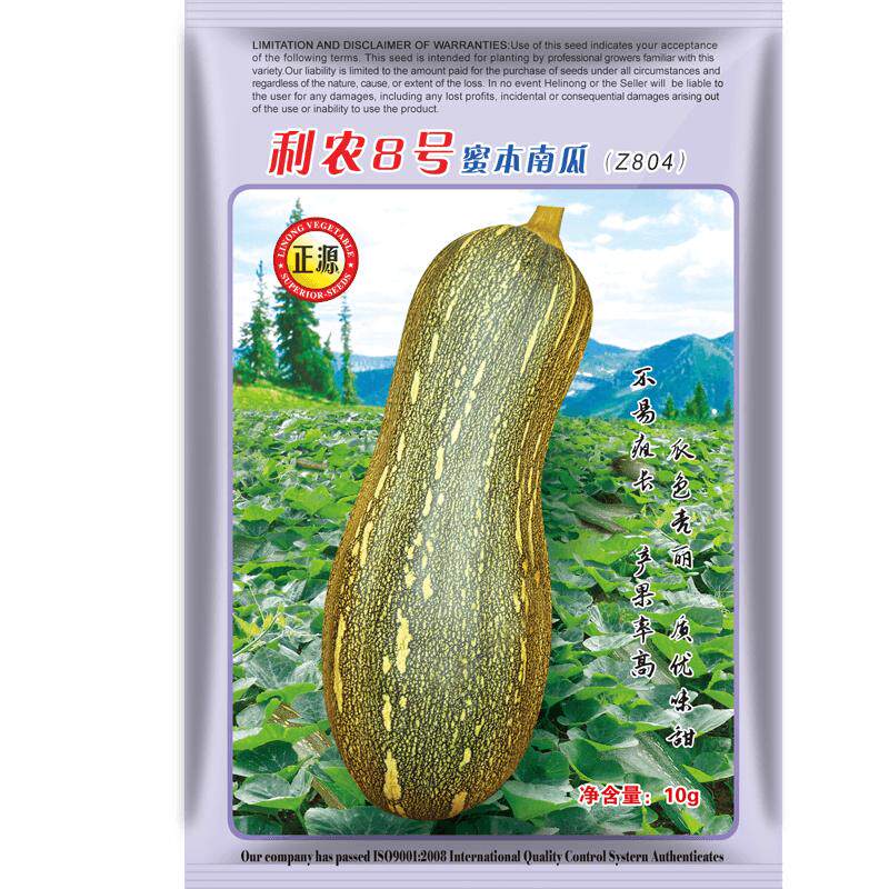 种子香甜高产四季蜜本南瓜