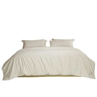 南方寝饰100%桑蚕丝被春秋被冬被子母二合一被抗菌蚕丝被空调被子