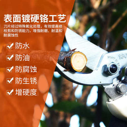 进口修枝剪刀修剪粗树枝花木果树剪子粗枝剪果树修枝剪园艺剪枝刀