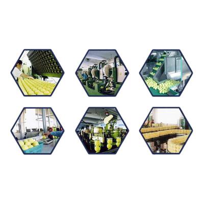 Teloon天龙成人网球训练球801Rising603X-ACE练习初学用球高回弹