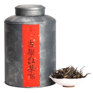 知春古树红茶 新茶早春头采500克凤庆功夫滇红焦糖高香型 包邮