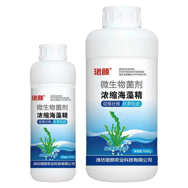 海藻精促根壮根靓果抗旱防板结