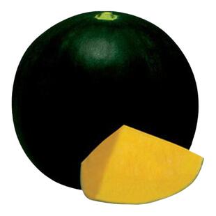 黑皮黄壤无籽西瓜种子特大巨型红肉西瓜种籽春季夏季四季水果蔬菜