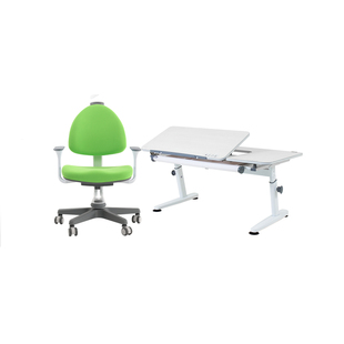 大将作M6套装儿童学习桌椅小学生书桌可升降写字桌家用课桌椅子