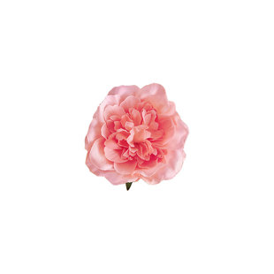 海边度假花朵发夹女2026新款高级感夹子侧边花花发卡头花头饰发饰