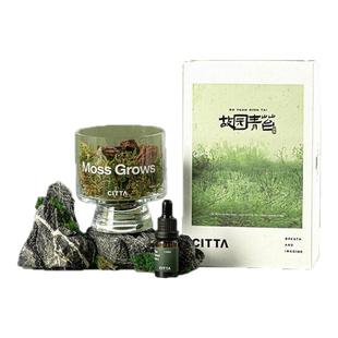 松木青苔高端景观香薰水晶杯礼盒松柏木质调植物香薰苔藓微景观