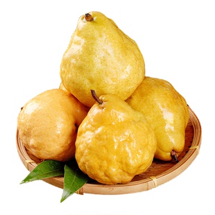 山东中华丑梨烟莱台阳佛手太婆大头梨新鲜水果当季梨子整箱批发