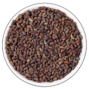 徽五弟农家精选女贞子颗粒饱满干净无杂自然晒干搭配枸杞泡茶用