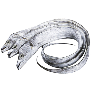 带鱼新鲜舟山超大整条雷达网小眼东海带鱼新鲜冷冻 节日送礼