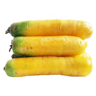 新疆特产新鲜柯坪恰玛古胡黄红萝卜皮牙子洋葱蔬菜礼盒农产品5斤