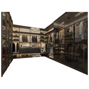 博洛尼整体衣柜定制卧室现代轻奢铝框玻璃大衣橱衣帽间定金新格调