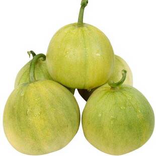 日本甜宝甜瓜种籽籽特大正品春季四季种孑水果种子超甜西瓜香瓜籽