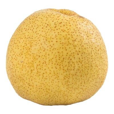 现摘新鲜脆甜砀山梨烤梨