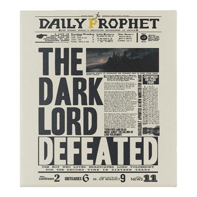 哈利波特掌阅Ocean5磁吸保护套