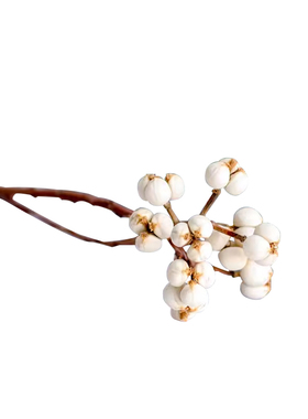 相框花材蜡烛配饰白果5g装diy