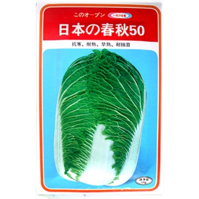 日本不开花播种包头白菜