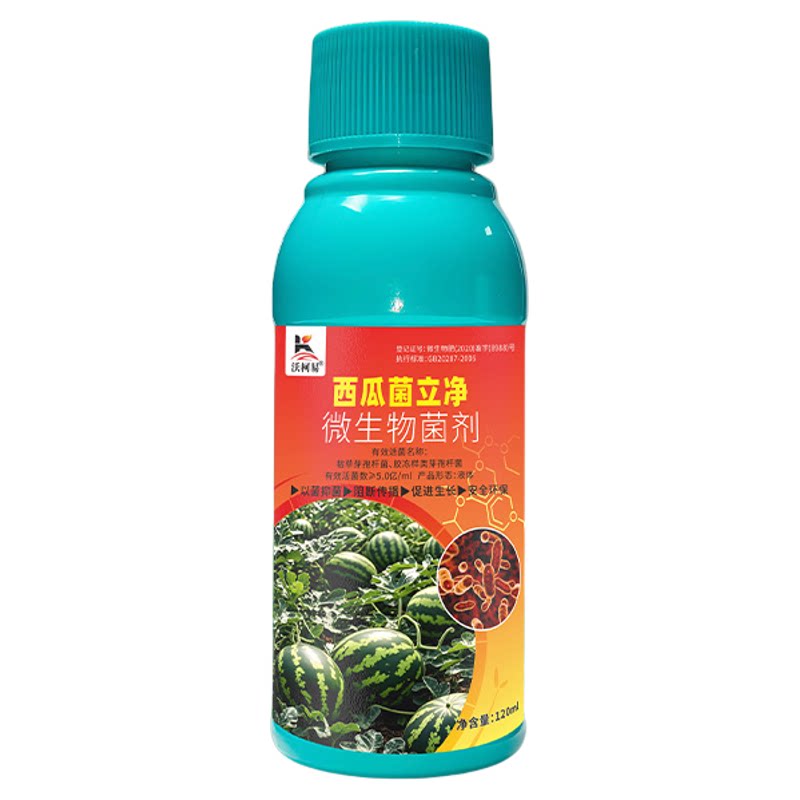 沃柯易西瓜专用药防治结合促成长