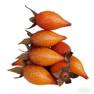 现摘新鲜野生金樱子干货肉金英中药材男人泡酒刺梨子金缨山糖罐子