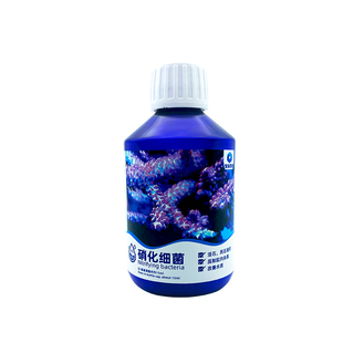深海奇缘硝化细菌NO3PO4降低提高氨基酸阴阳离子水珊瑚检疫