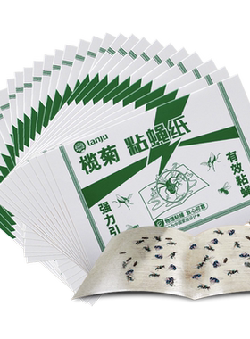榄菊粘蝇板强力引诱30片