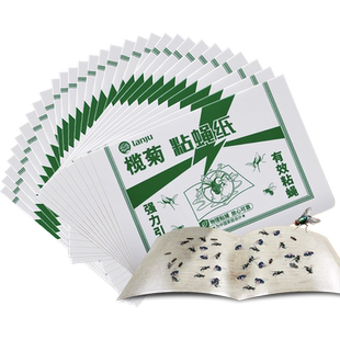榄菊粘蝇板加大加厚30片装家用商用苍蝇贴苍蝇克星强力灭蝇纸捕蝇