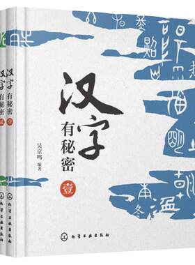 全4册 汉字有秘密 解读汉字秘密 轻松学习汉字 48个小学语文基础汉字 趣味图文汉字知识解读 小学语文汉字知识汉字故事字源科普书