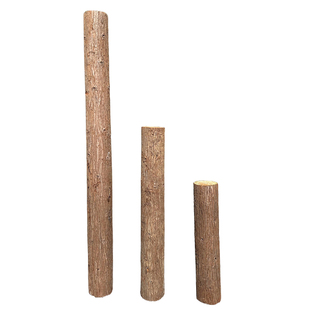 杉木原木树干围栏实木干树干造景装饰造型树原木树干架子树干木头