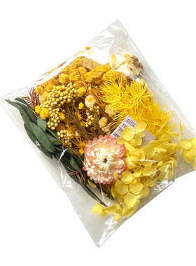 干花永生花DIY材料包混合装 相框团扇手作diy材料 家居装饰自制