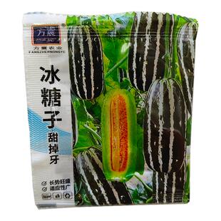 3包方震四季冰糖甜瓜种子春季播种夏季开花酥脆甘甜发芽率高
