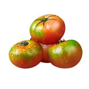 丹东草莓柿子口感番茄绿腚碱地油柿子新鲜铁皮西红柿自然熟顺丰包