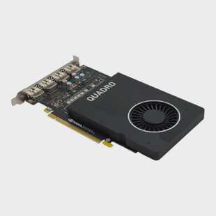 Nvidia Quadro P2200 6995G4200500101 R Grafikkarte