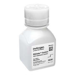 赛默飞Invitrogen™ RNAlater™ 稳定液AM7020 AM7021 AM7023