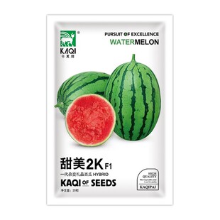全美甜美2K小西瓜种籽早熟薄皮脆甜春季夏季礼品西瓜种籽水果种孑