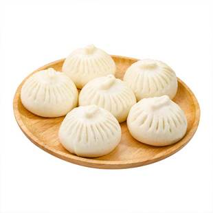 扬州东园鲜肉包子冷冻即食家庭装懒人早餐速食成品油糕烧麦一整箱